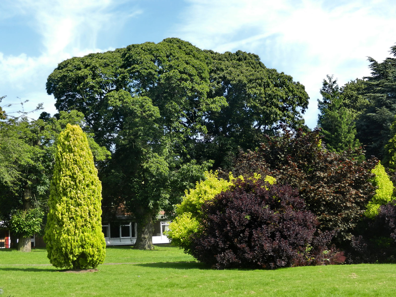 Newcastle-under-Lyme